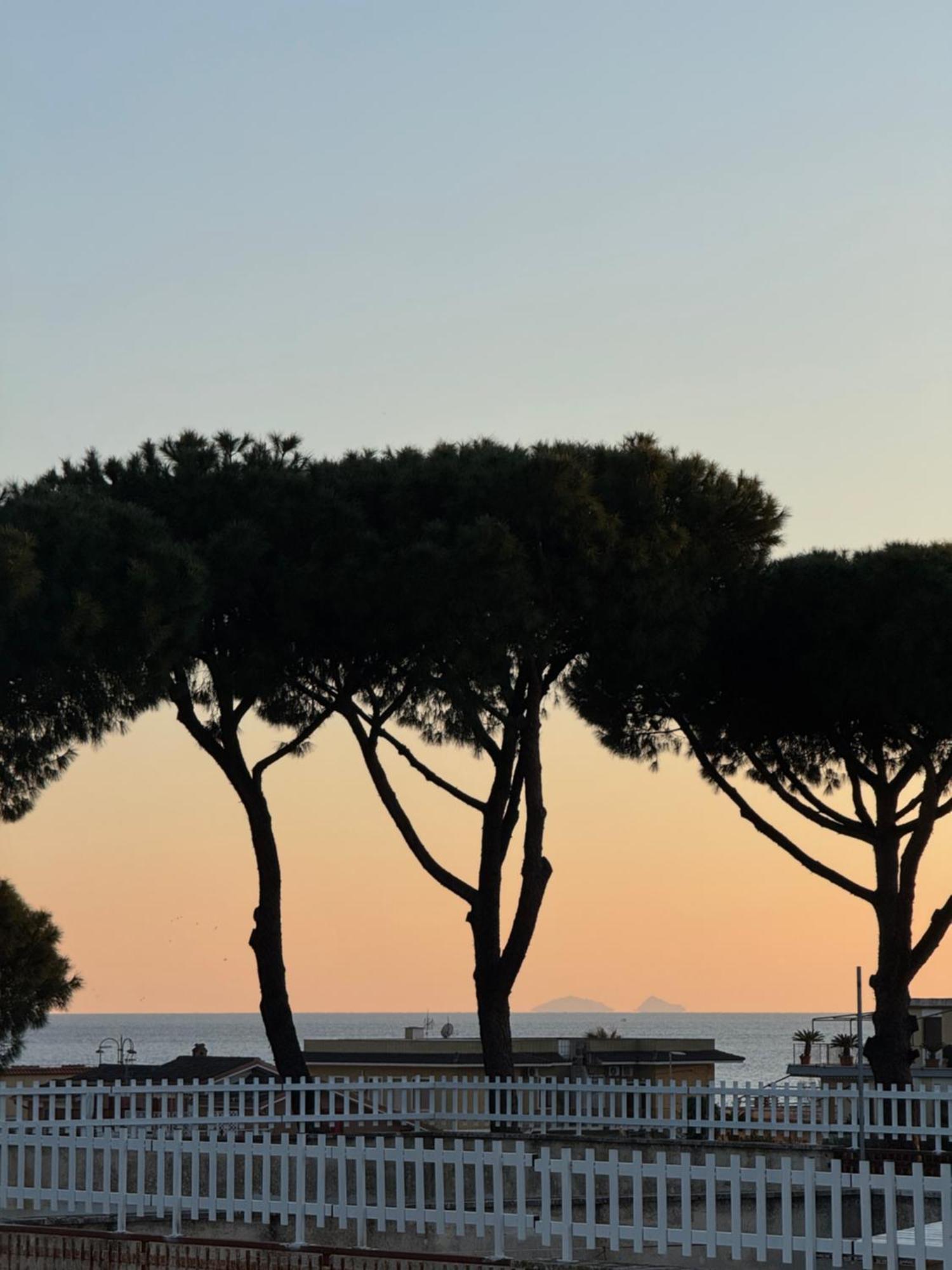 Irene's * Terracina